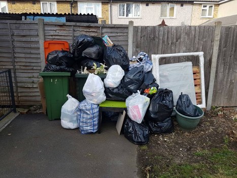 Garden clearance service in Shepherds Bush showcasing team at work